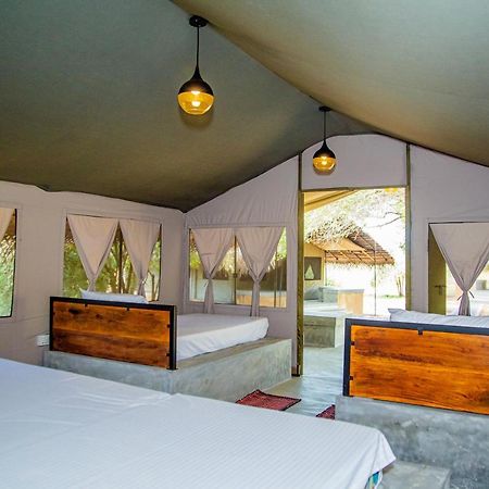Yala Wild Hut - Yala Hotel Тисамахарама Екстериор снимка