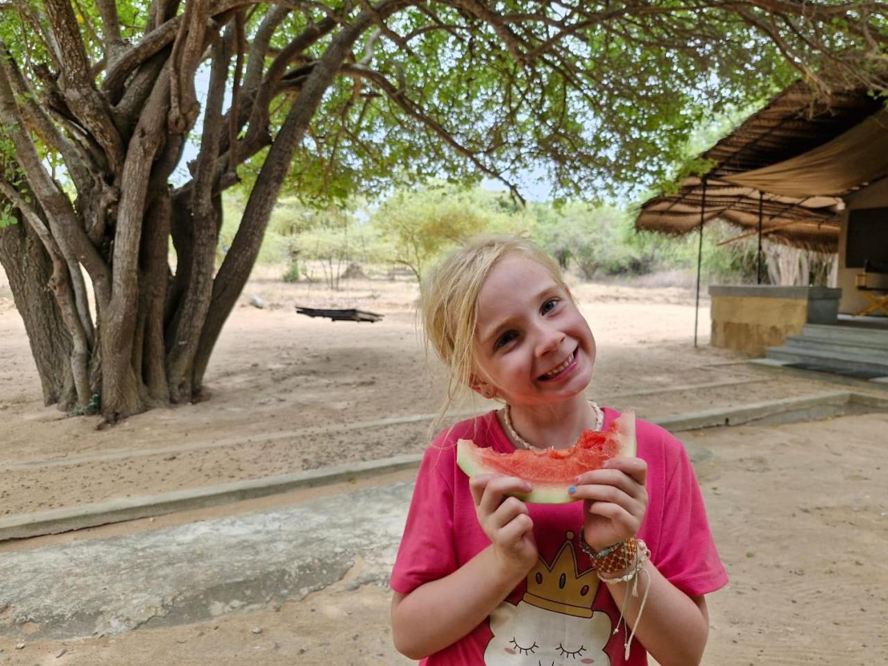 Yala Wild Hut - Yala Hotel Тисамахарама Екстериор снимка